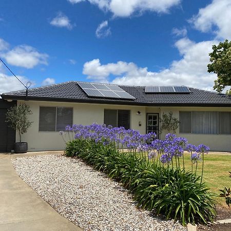Para House, Tanunda. In The Heart Of The Barossa Valley!. Villa Exterior photo